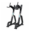 Vertical Knee Raises