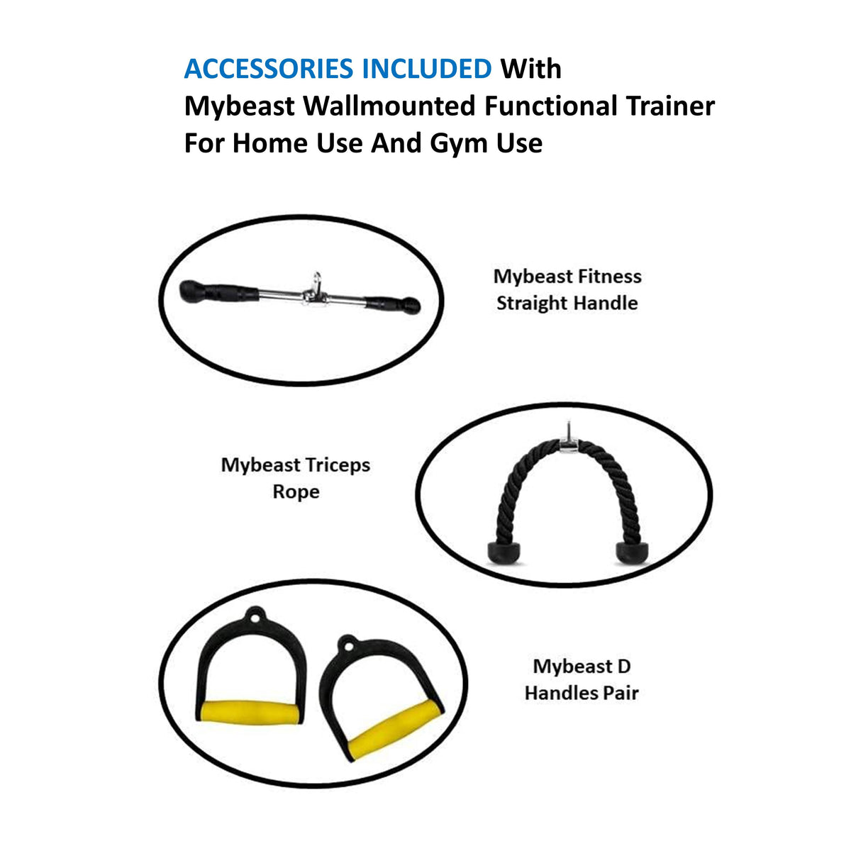 Wall Mounted Functional Trainer