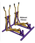 Dual Elliptical Trainer