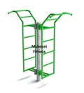 Dual Ladder