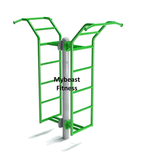 Dual Ladder