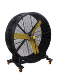 Gym Fan