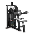 Lateral Raises
