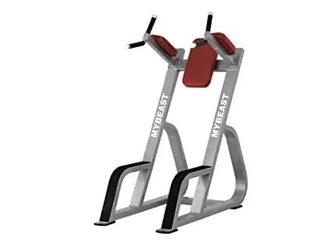 Vertical Knee Raises