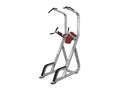 Chinup Dip Leg Raises