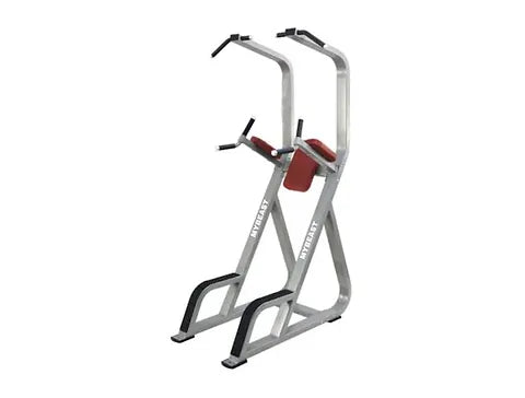 Chinup Dip Leg Raises