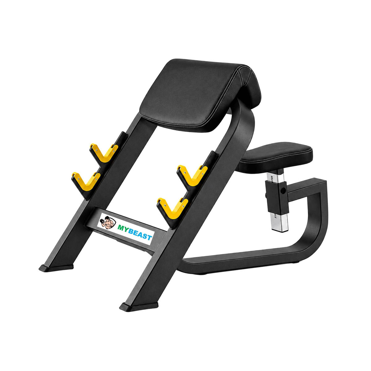 Preacher Curl Bench