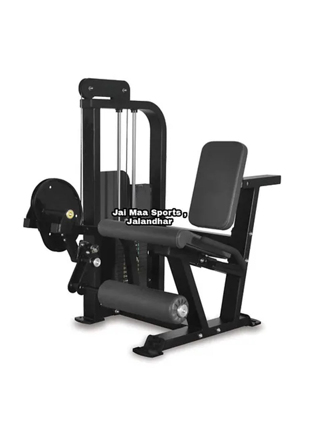 Seated Leg Extension