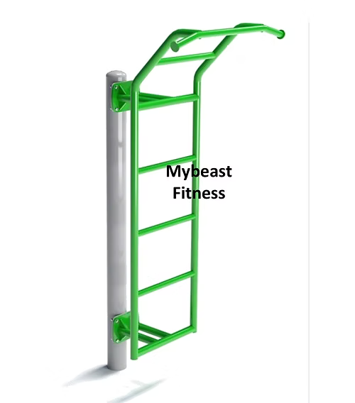 Single Ladder