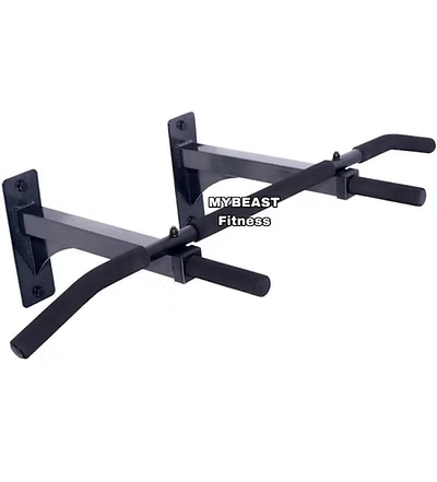 Wall Mounted Lats Pull Down